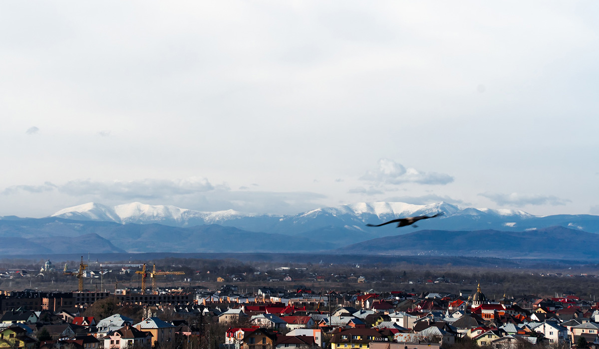 Краєвиди