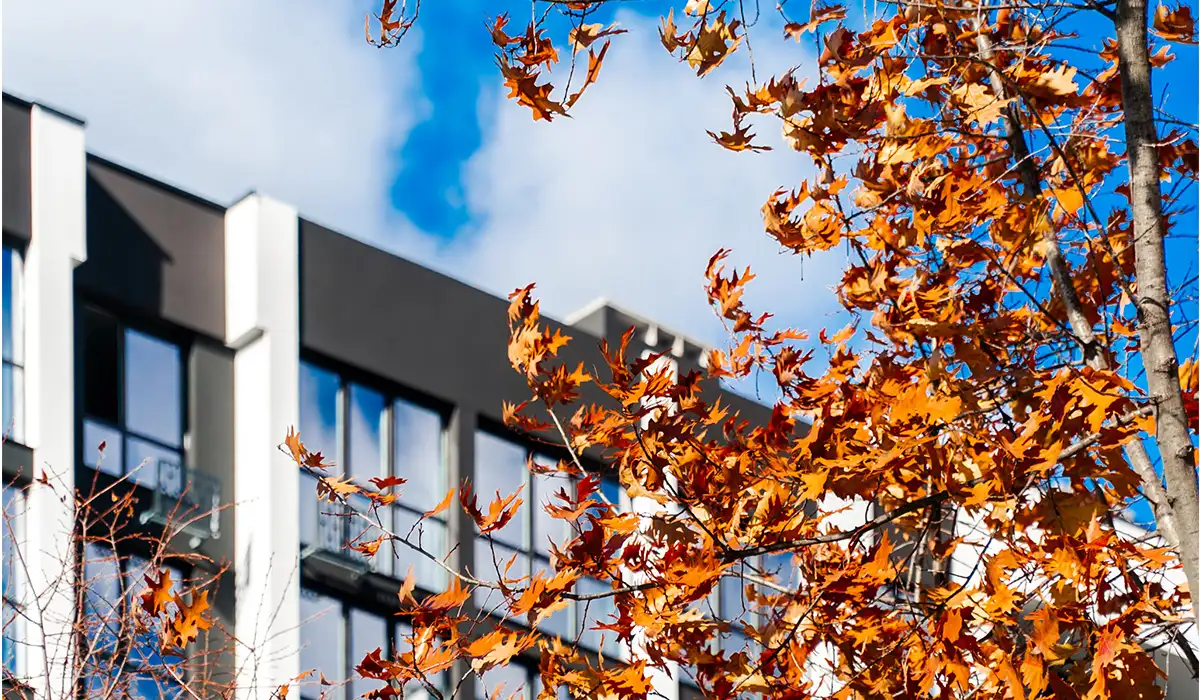 Стан будівництва житлового району Manhattan UP на 29.10.2025